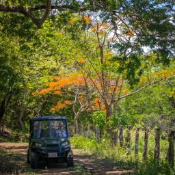 Best tours in Guanacaste Costa Rica