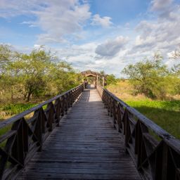 Tours en Guanacaste