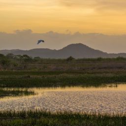 Parque Nacional Palo Verde