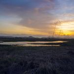 Guanacaste Wetlands